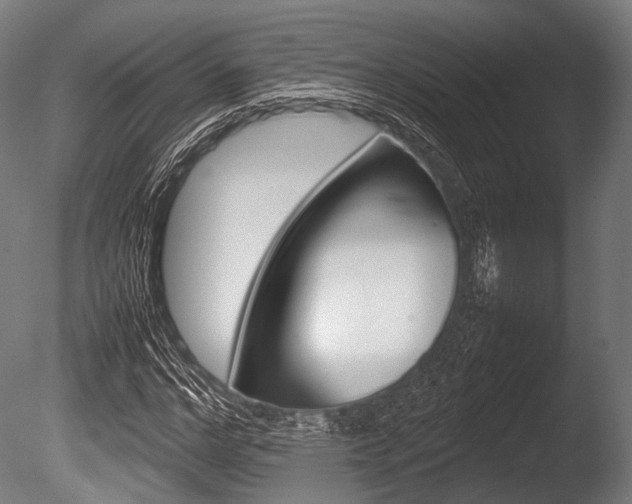 X0000086080968200703231045