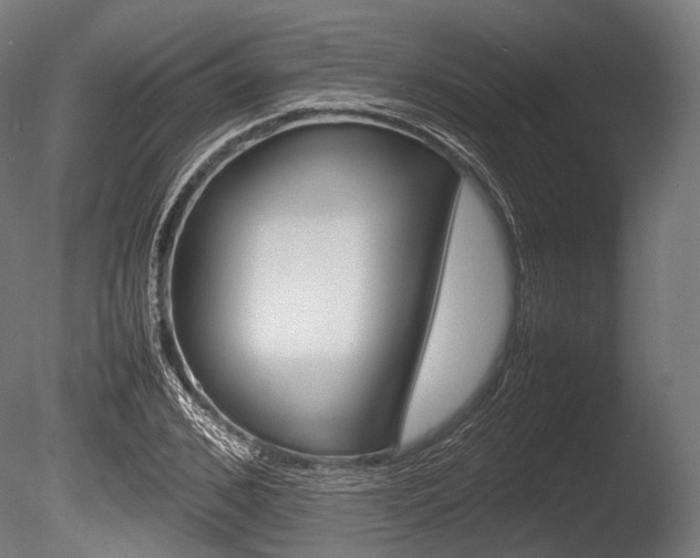 X0000086080976200703231045