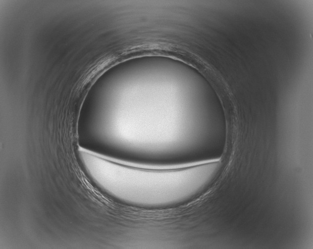 X0000086080977200703231045
