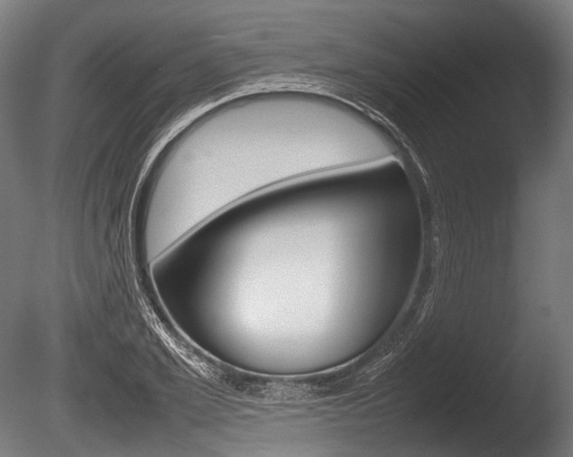 X0000086080981200703231045