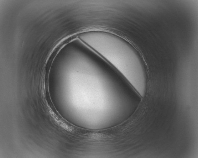 X0000086080984200703231045