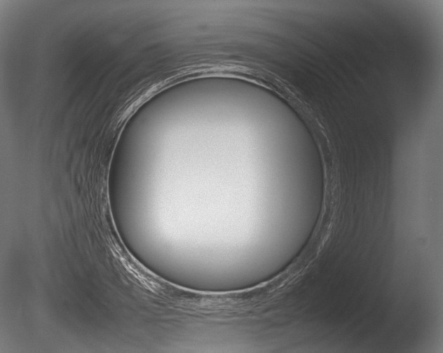 X0000086080985200703231045
