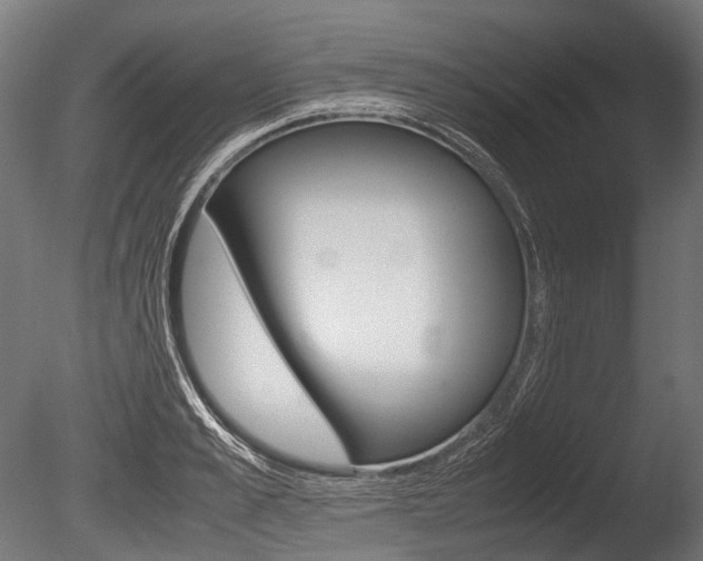 X0000086080989200703231045