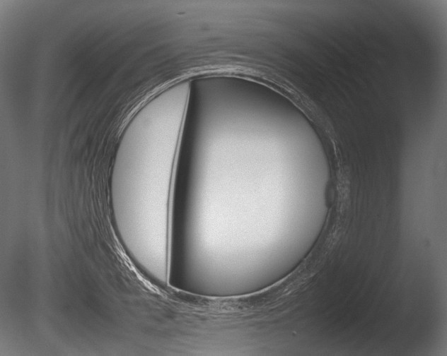 X0000086080993200703231045