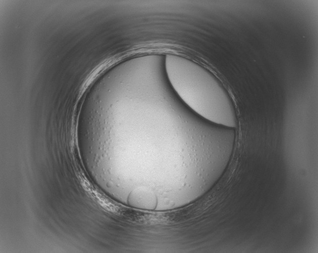 X0000086080994200703231045