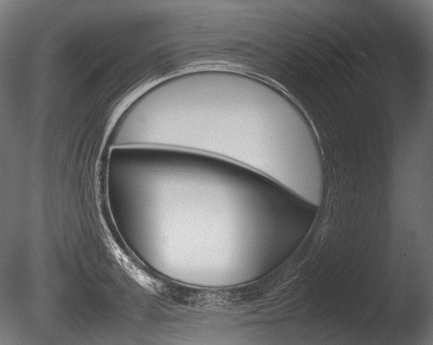 X0000086080995200703231045
