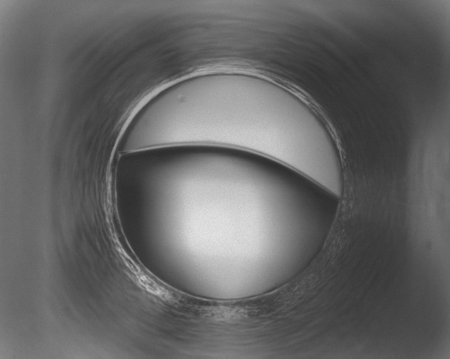 X0000086080996200703231045