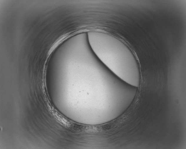 X0000086081002200703231045