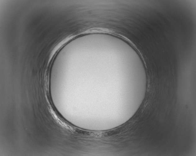 X0000086081003200703231045