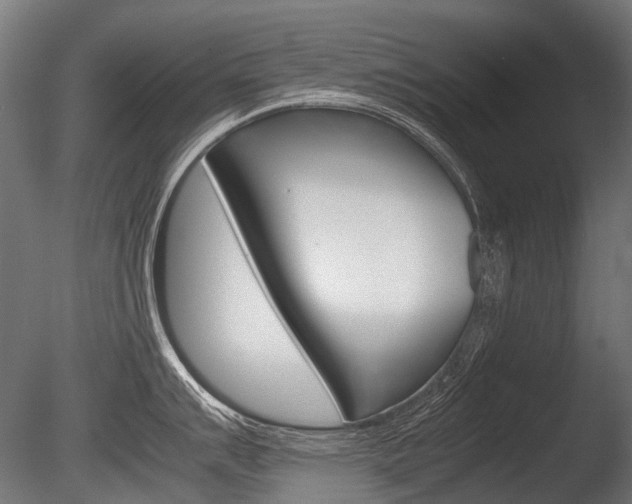 X0000086081007200703231045