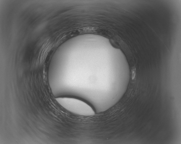X0000086081011200703231044