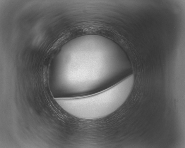 X0000086081012200703231044