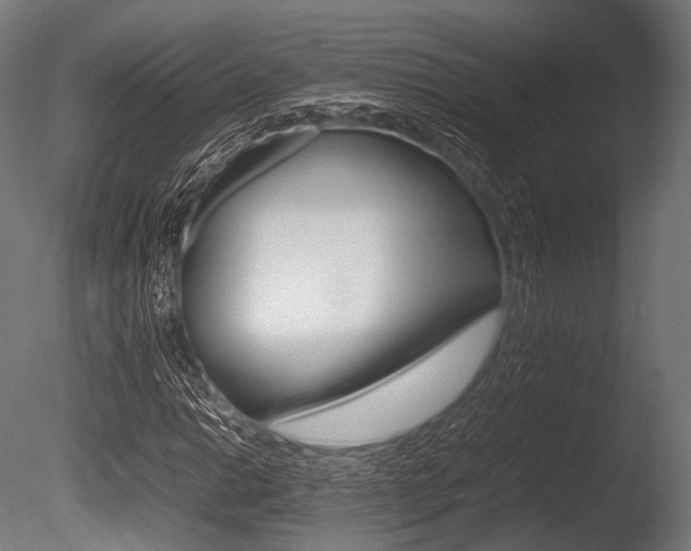 X0000086081014200703231044