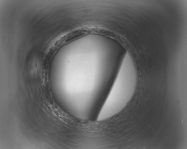 X0000086081016200703231044