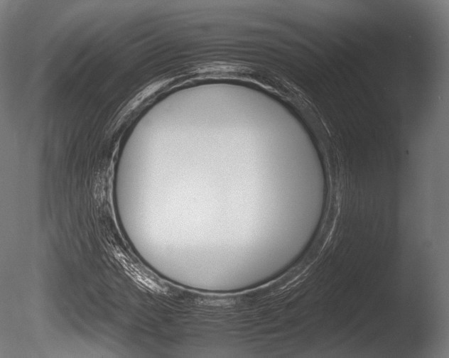 X0000086081017200703231044