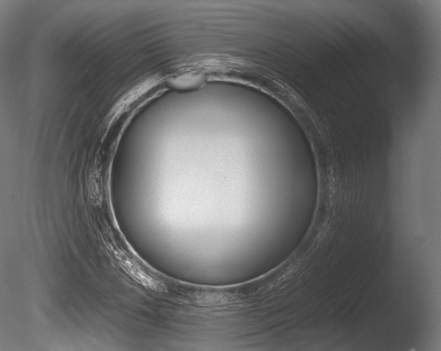 X0000086081018200703231044