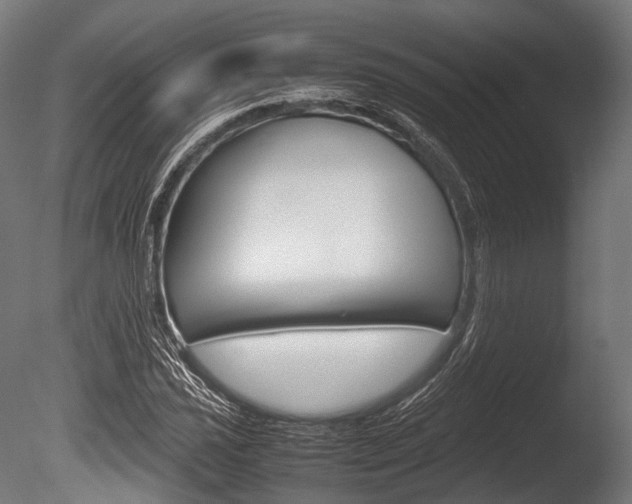 X0000086081021200703231044
