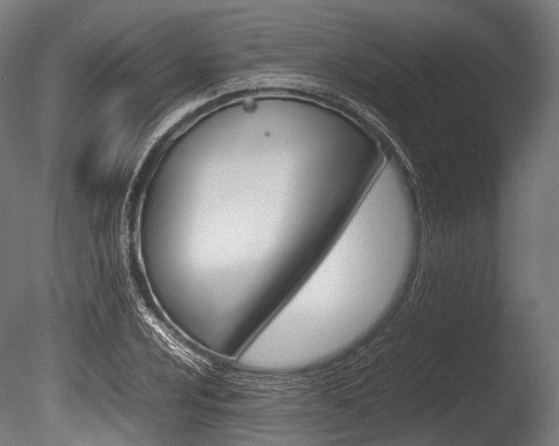 X0000086081024200703231044