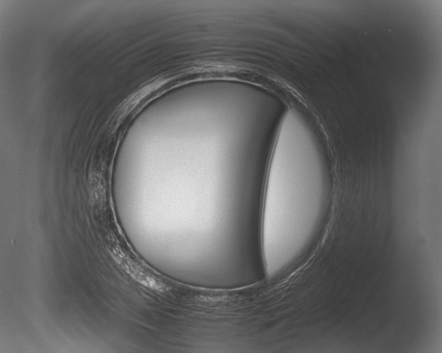 X0000086081025200703231044