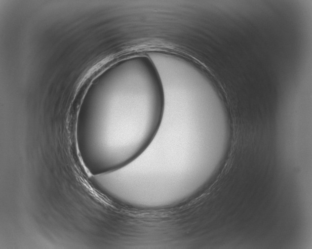 X0000086081026200703231044