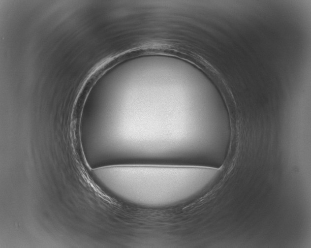 X0000086081029200703231044