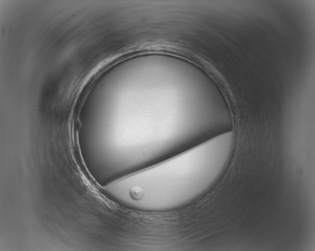 X0000086081032200703231044