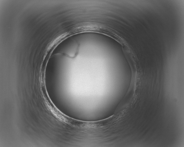 X0000086081034200703231044