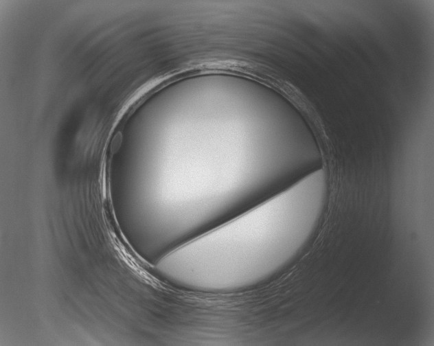 X0000086081036200703231044