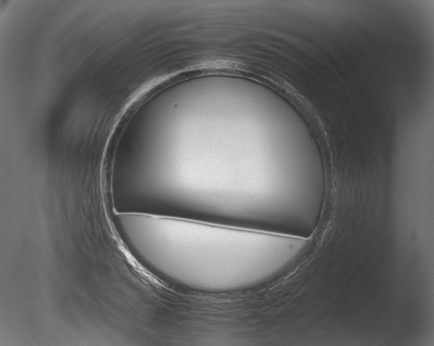 X0000086081037200703231044