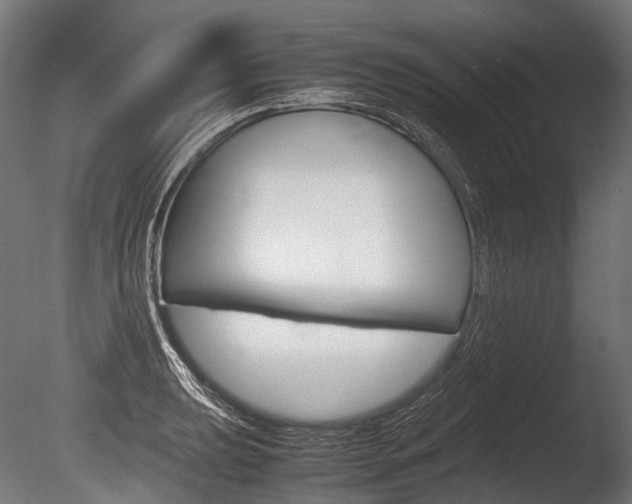 X0000086081039200703231044