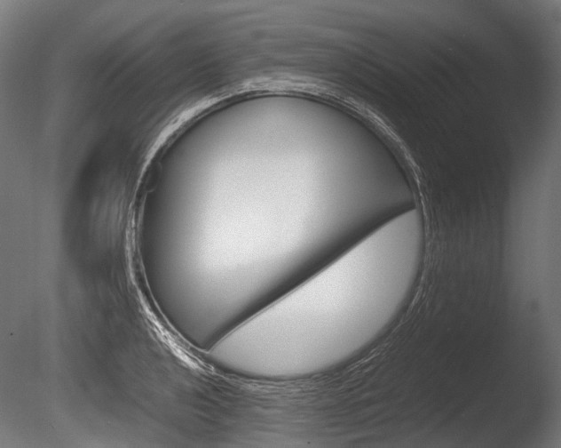 X0000086081040200703231044