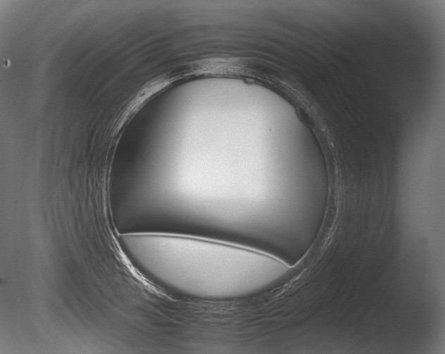 X0000086081041200703231044