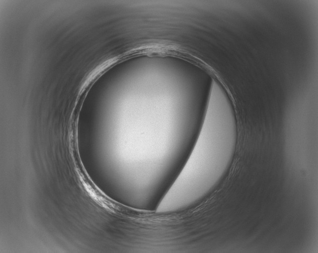 X0000086081042200703231044