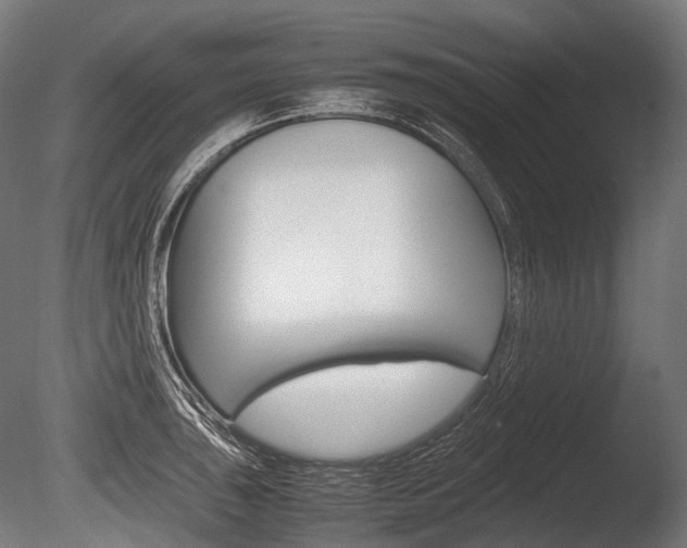 X0000086081043200703231044
