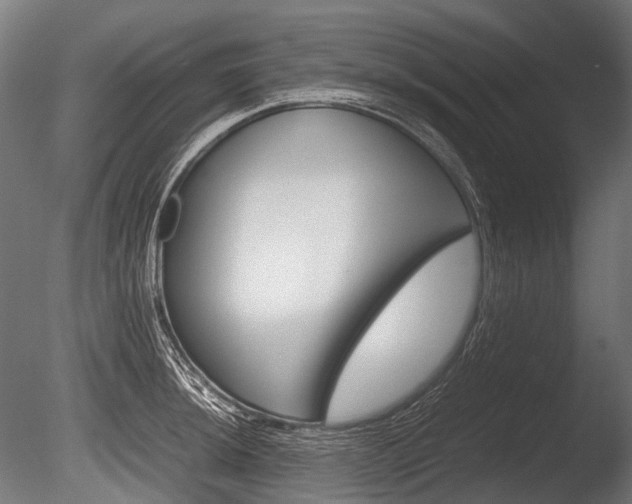 X0000086081044200703231044