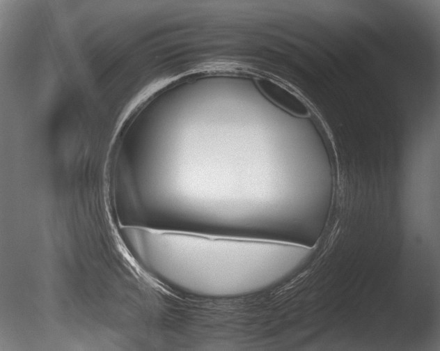 X0000086081045200703231044