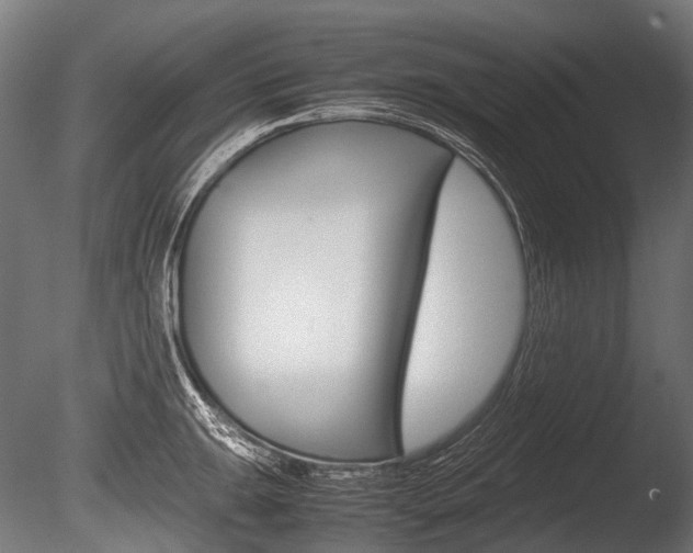 X0000086081047200703231044