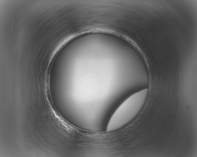 X0000086081048200703231044