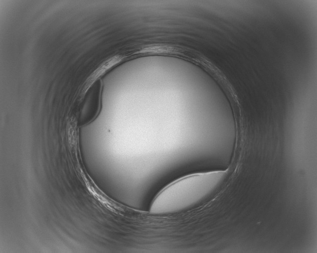 X0000086081049200703231044