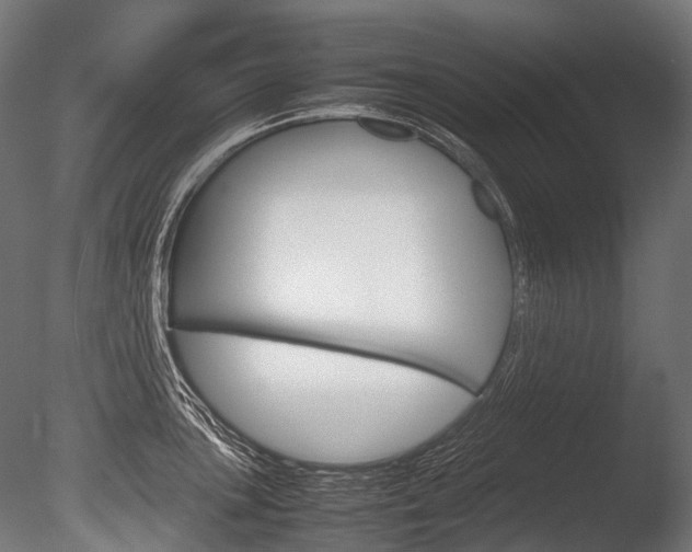 X0000086081051200703231044