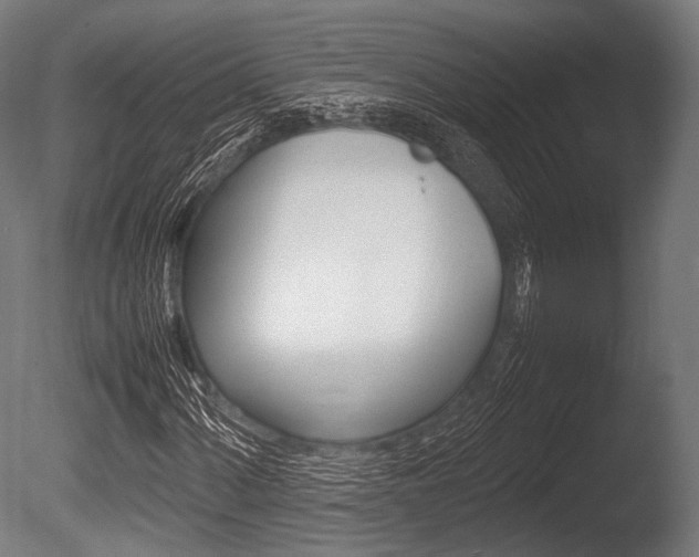 X0000086081060200703231044