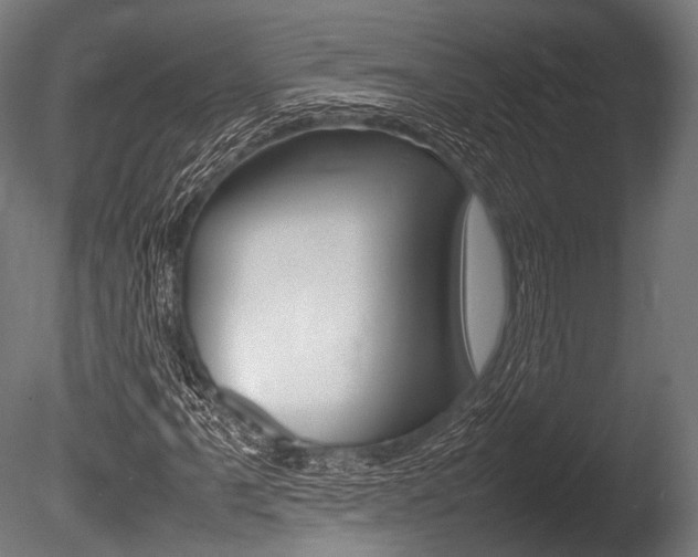 X0000086081061200703231044
