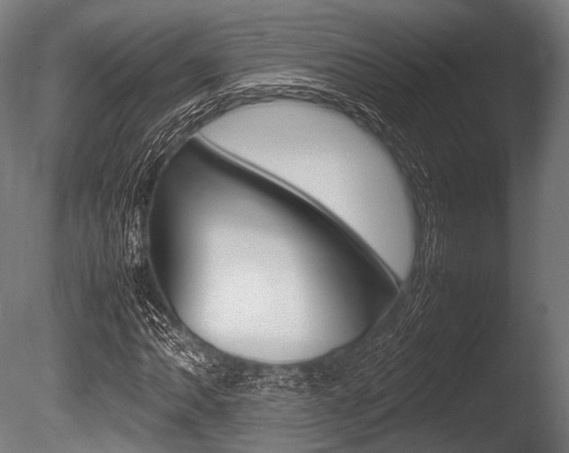X0000086081062200703231044
