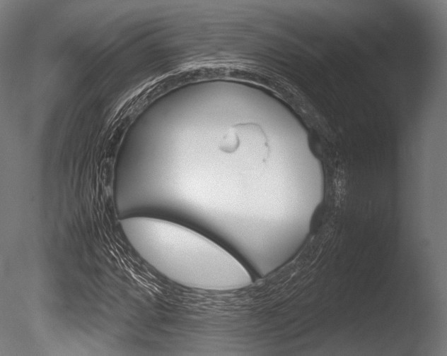 X0000086081064200703231044