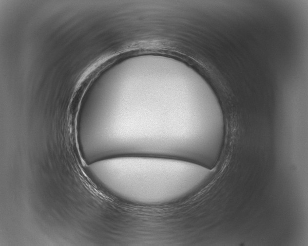 X0000086081070200703231043