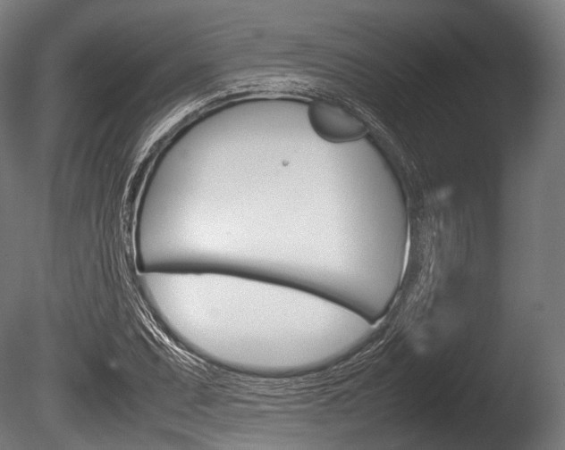 X0000086081071200703231043