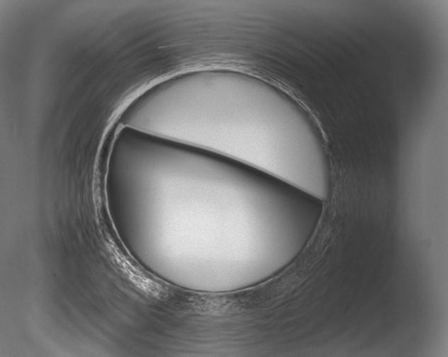 X0000086081072200703231043