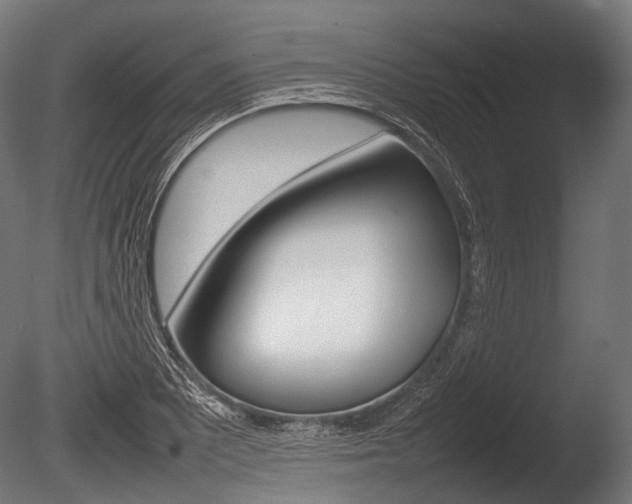 X0000086081081200703231043