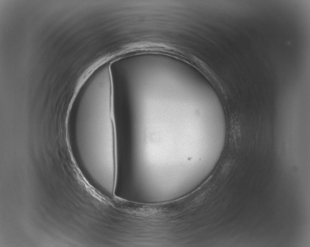 X0000086081082200703231043