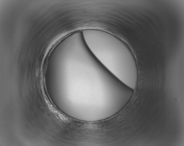 X0000086081088200703231043